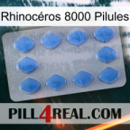 Rhinocéros 8000 Pilules 21
